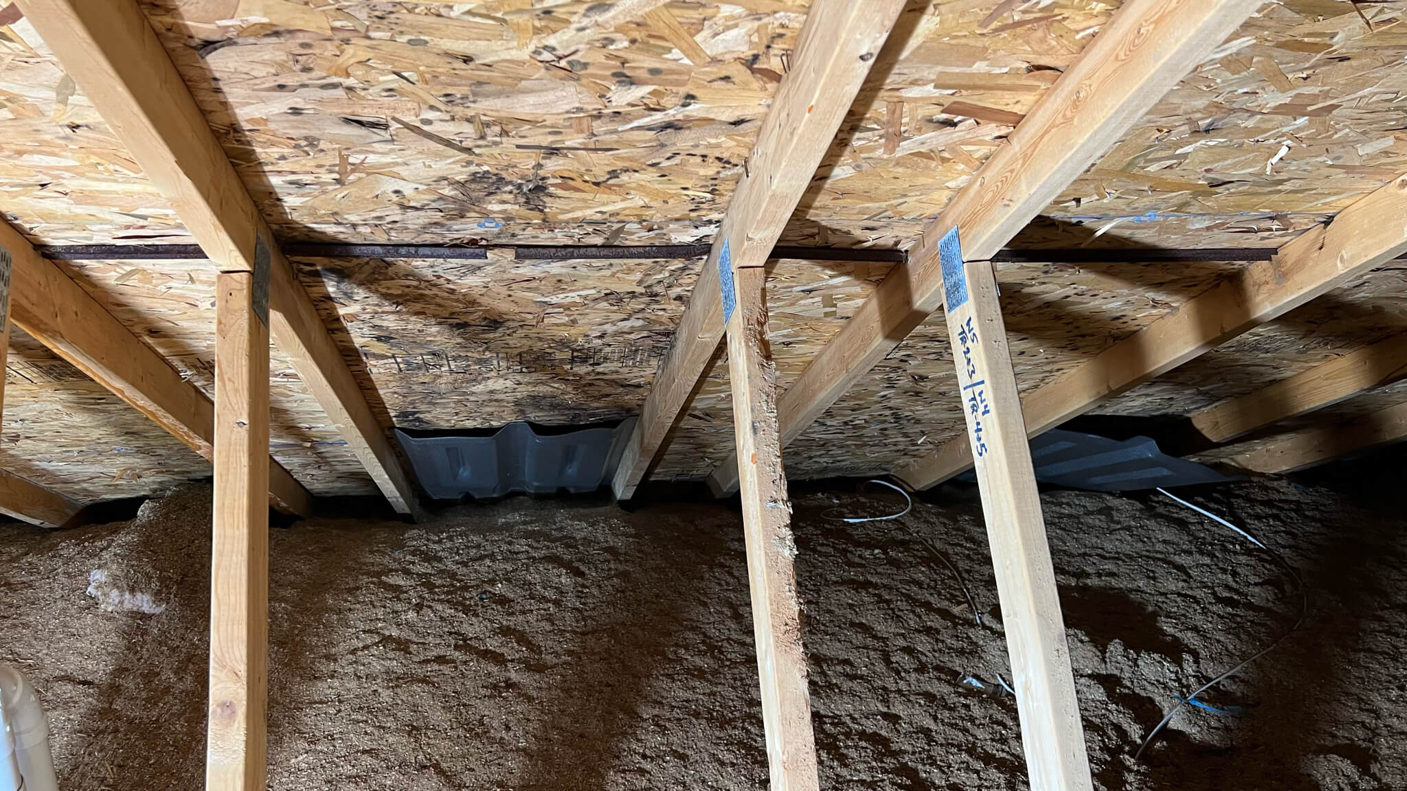 Black mold growing on the inside of a roof in the attic of a home with blown-in insulation on the floor.